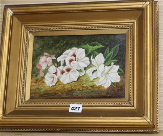 F. Villaneuva, oil on canvas, Still life of flowers, signed, 17 x 24cm